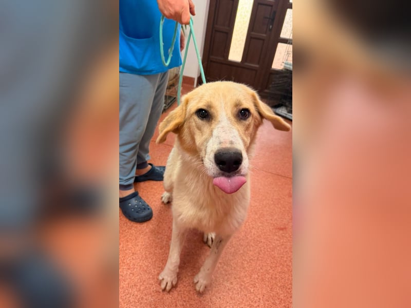 Yuna - freundlicher Sonnenschein