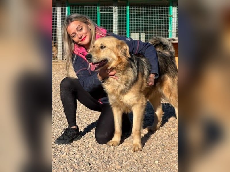 Gulliver wünscht sich ein eigenes Zuhause