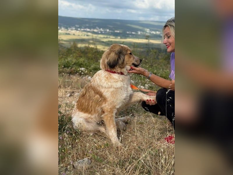 Miss Lotti - flauschiges Fell und großes Beschützerherz