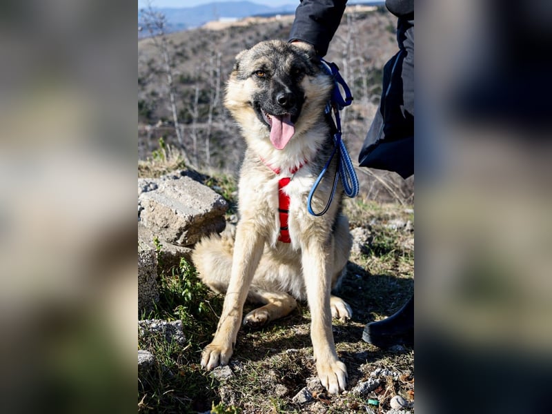 Oksana sucht ein Zuhause