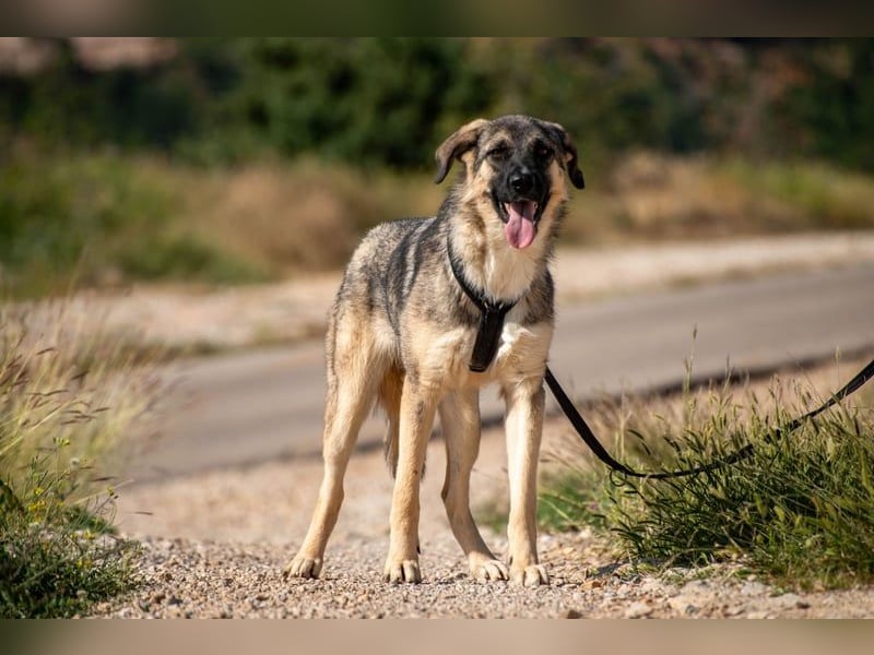 Oksana sucht ein Zuhause