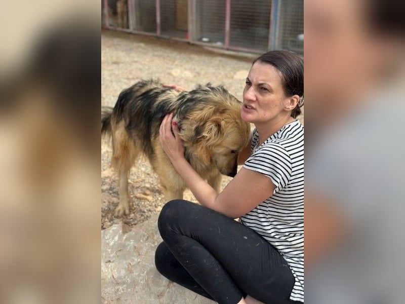 Gulliver wünscht sich ein eigenes Zuhause