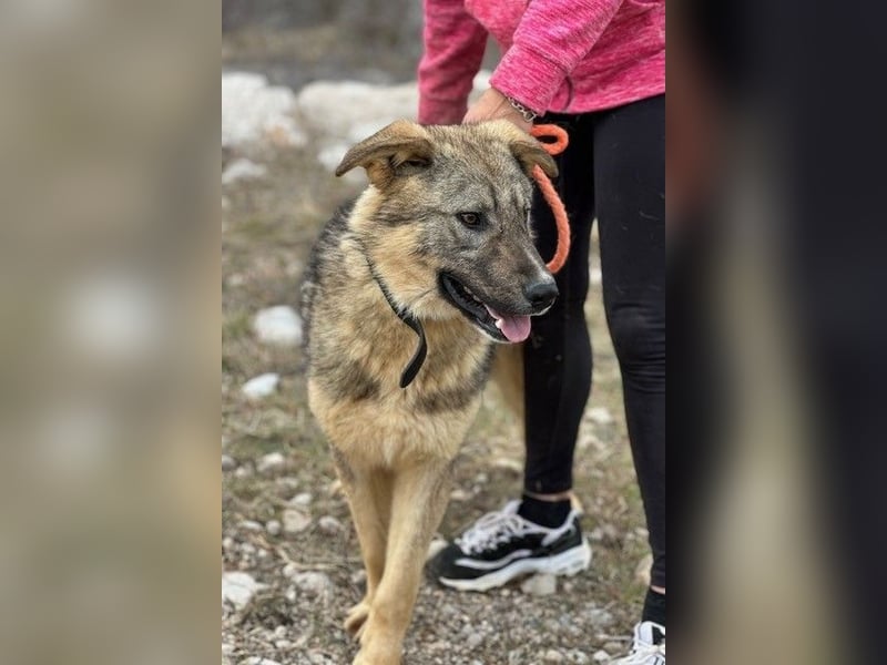 Pavarotti sucht seine Menschen