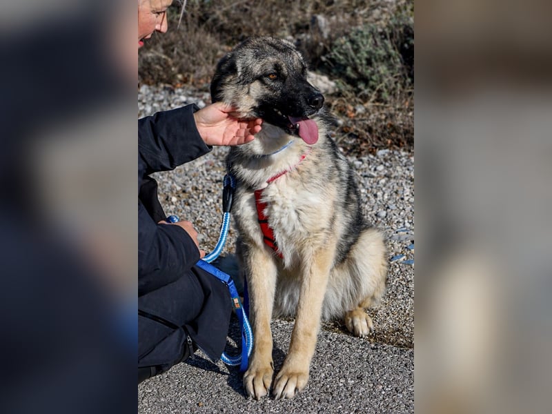 Oksana sucht ein Zuhause