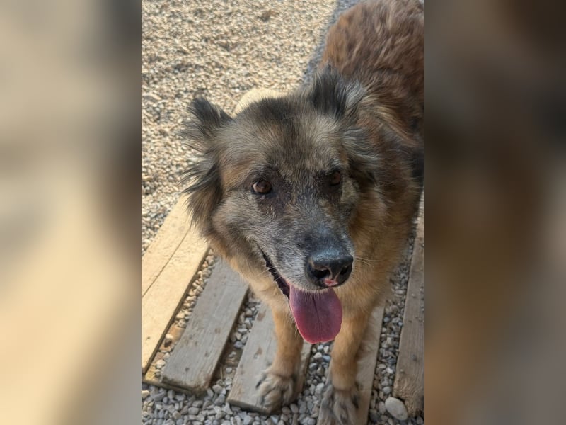 Wilma - Sonnenschein sucht Familie mit Herz