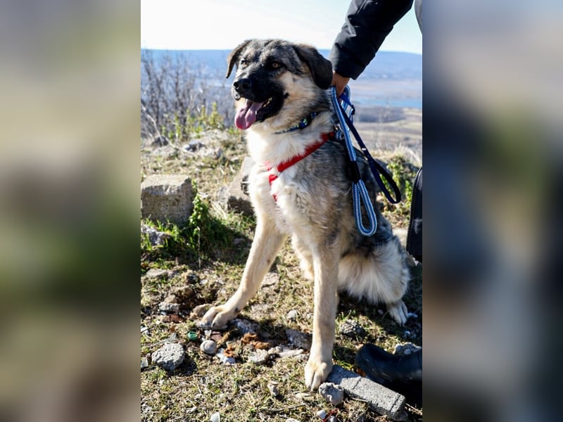 Oksana sucht ein Zuhause