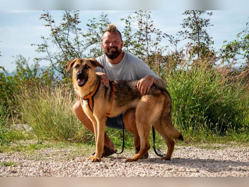 Beethoven: Große Pfoten, großes Glück