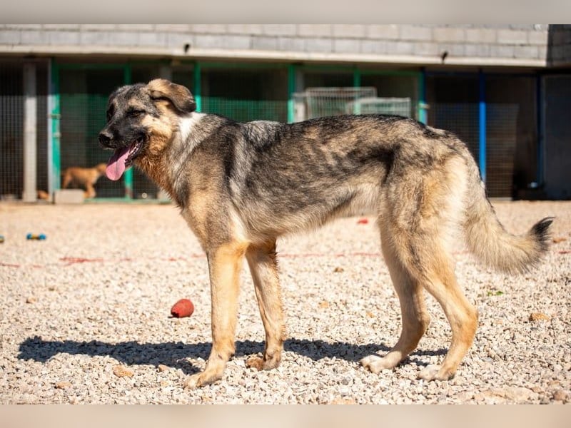 Oksana sucht ein Zuhause