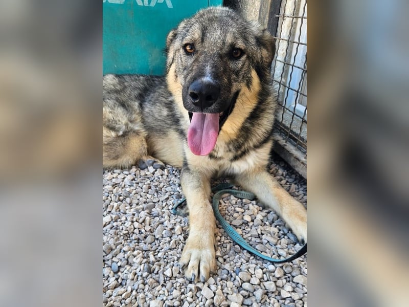 Pavarotti sucht seine Menschen