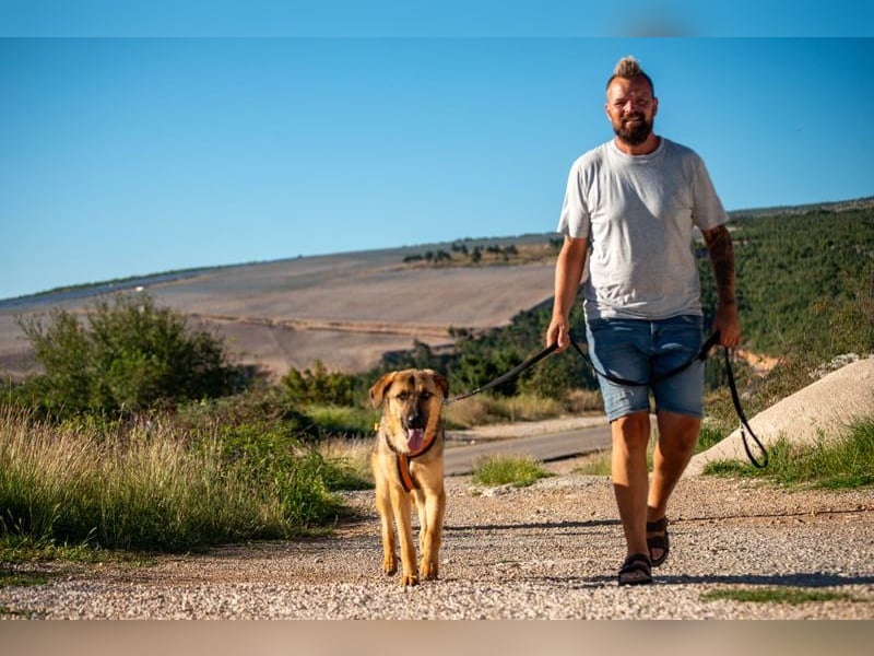 Beethoven: Große Pfoten, großes Glück