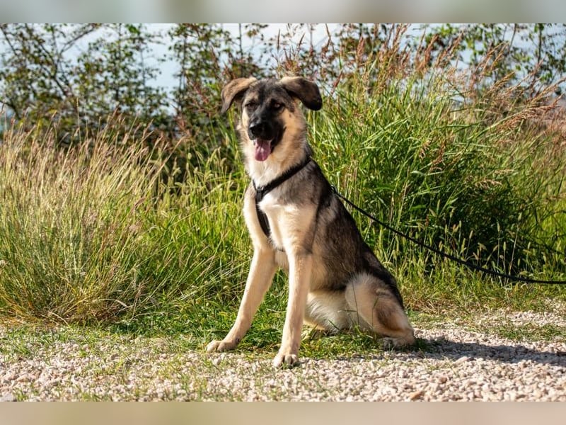 Oksana sucht ein Zuhause