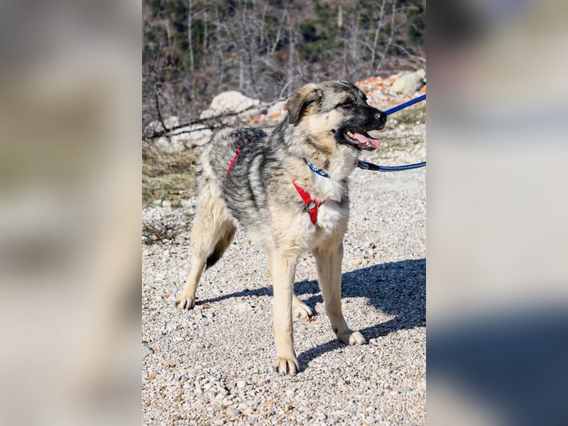 Oksana sucht ein Zuhause