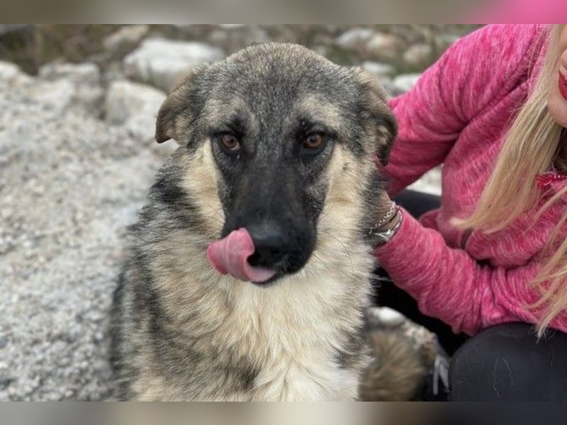 Oksana sucht ein Zuhause