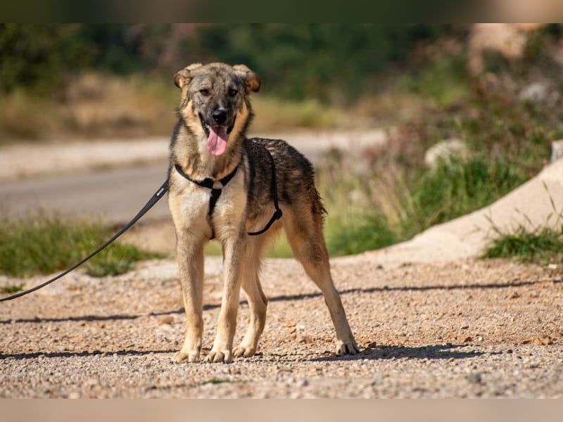Pavarotti sucht seine Menschen