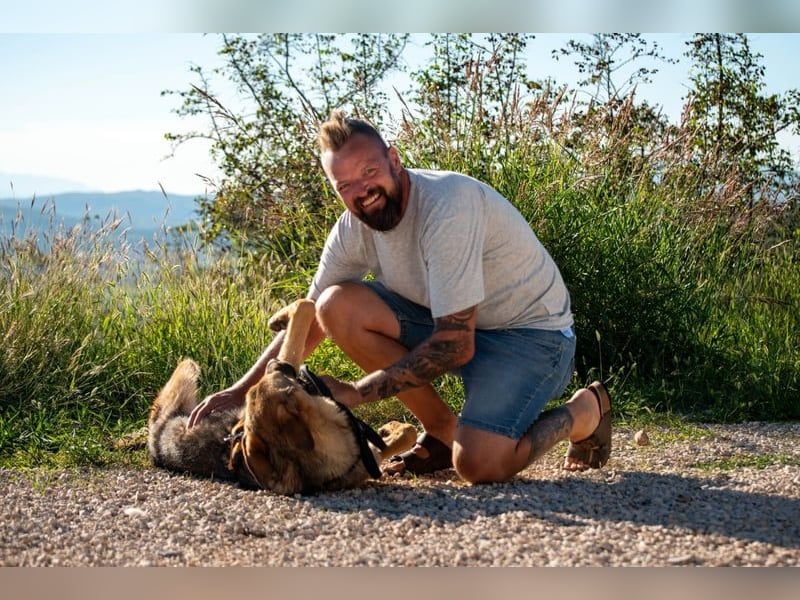 Beethoven: Große Pfoten, großes Glück