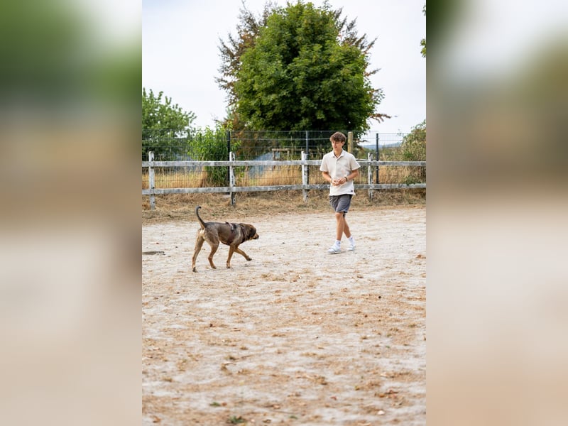 Ludo (7) sehnt sicht nach einem Zuhause