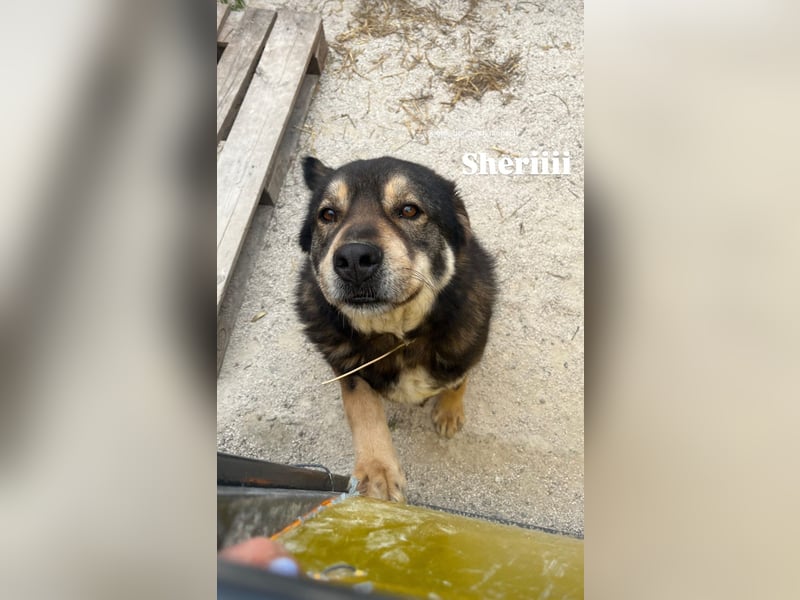 Sheri (6) wartet auf Dich