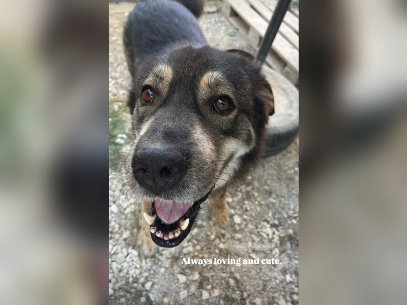 Sheri (6) wartet auf Dich