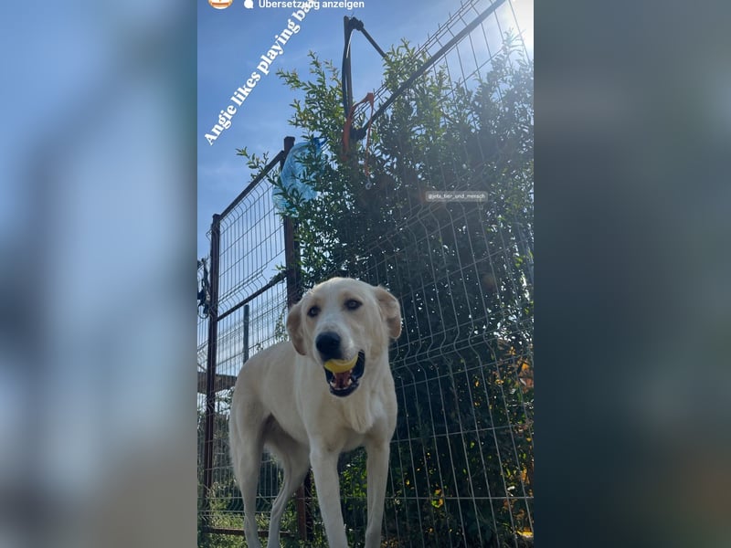 Anxhi (3) sehnt sich nach einer Familie