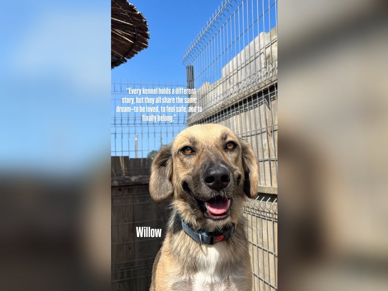 Willow (2) ist bereit für die Welt