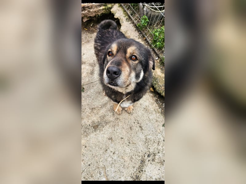 Sheri (6) wartet auf Dich