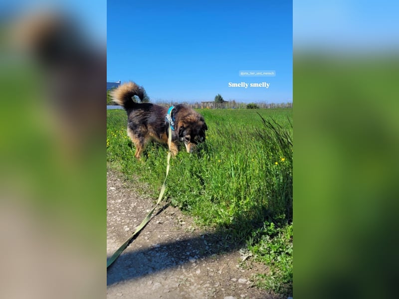 Sheri (6) wartet auf Dich