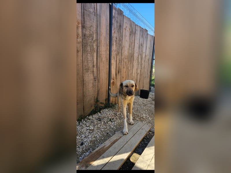Willow (2) ist bereit für die Welt