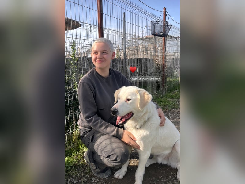 Patch (3) ist ein wahrer Sonnenschein