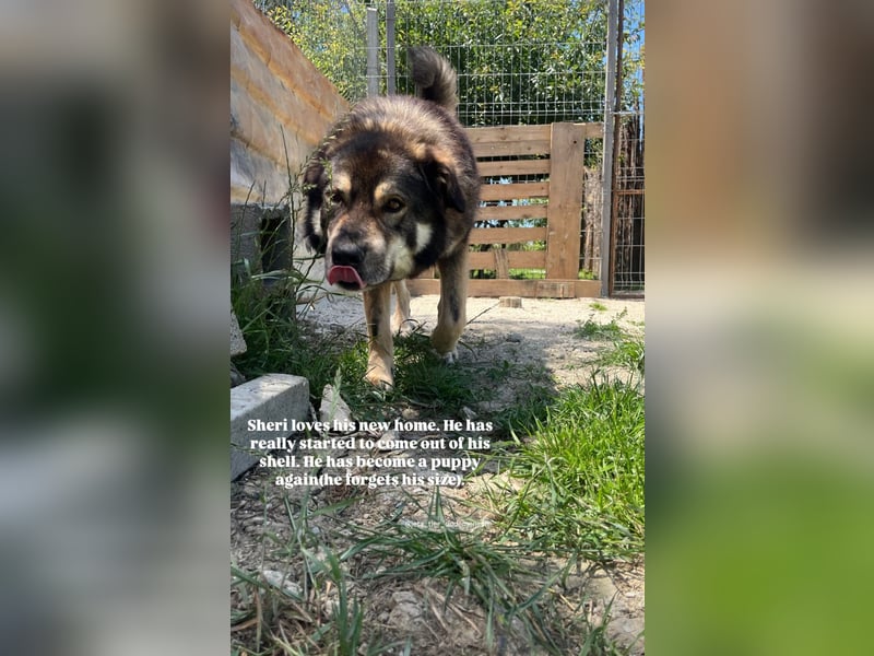 Sheri (6) wartet auf Dich