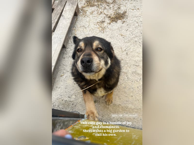Sheri (6) wartet auf Dich