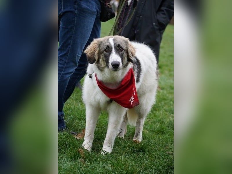 Ozora möchte überzeugen (84104 Rudelzhausen)