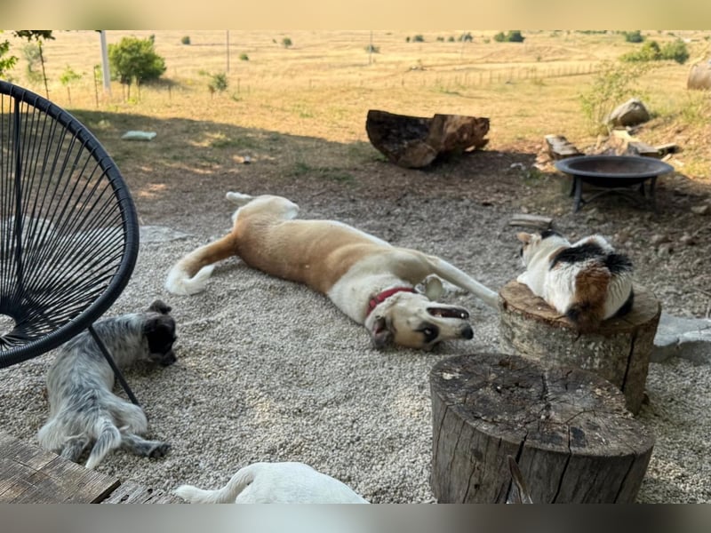 Juli: Mit Sonne im Herzen