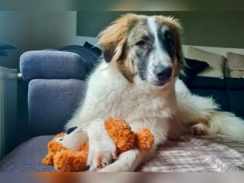 Ozora möchte überzeugen (84104 Rudelzhausen)