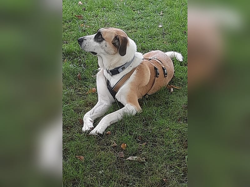 Juli: Mit Sonne im Herzen
