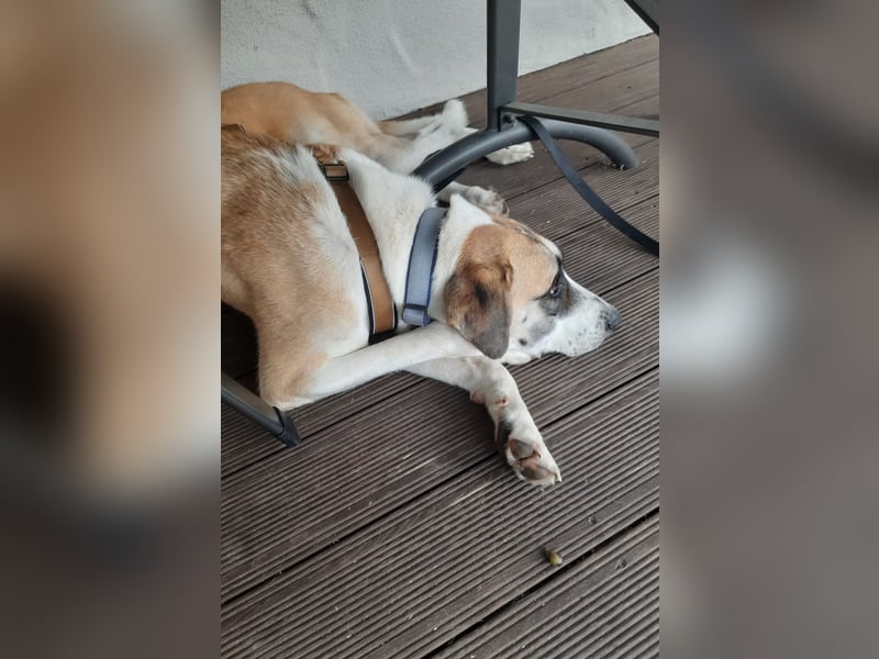 Juli: Mit Sonne im Herzen
