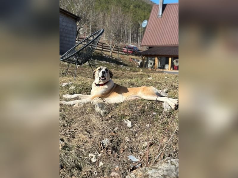 Juli: Mit Sonne im Herzen
