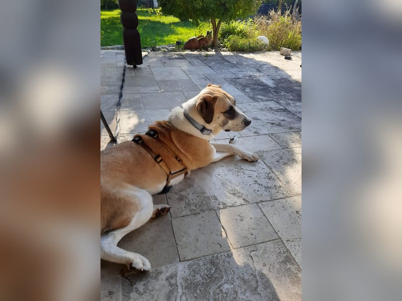 Juli: Mit Sonne im Herzen
