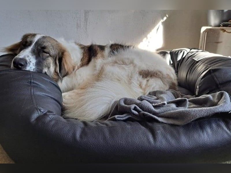 Ozora möchte überzeugen (84104 Rudelzhausen)