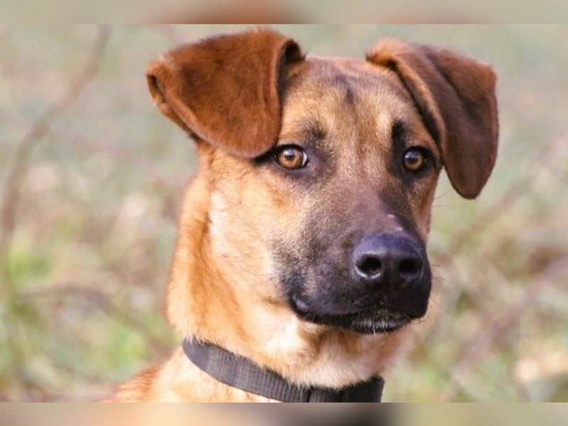 Maddox sucht Menschen, die ihm die Welt zeigen