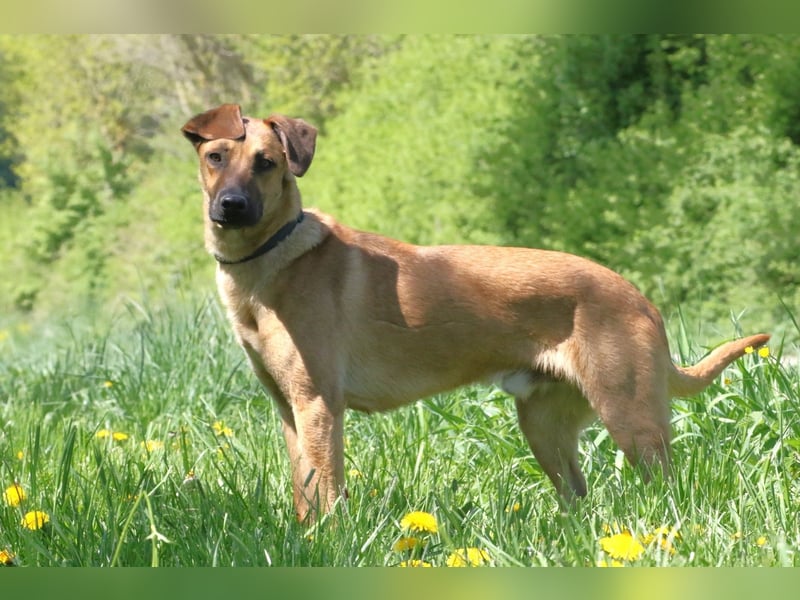 Maddox sucht Menschen, die ihm die Welt zeigen