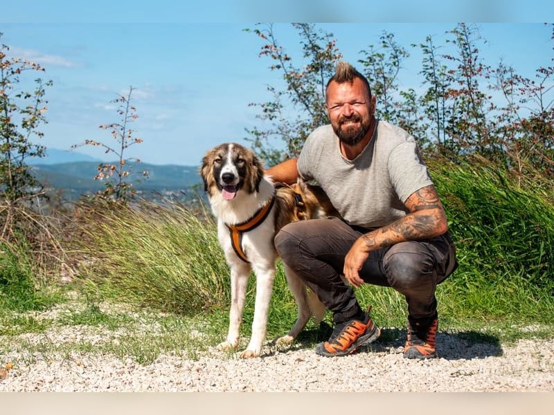 Bandon sucht sein großes Glück