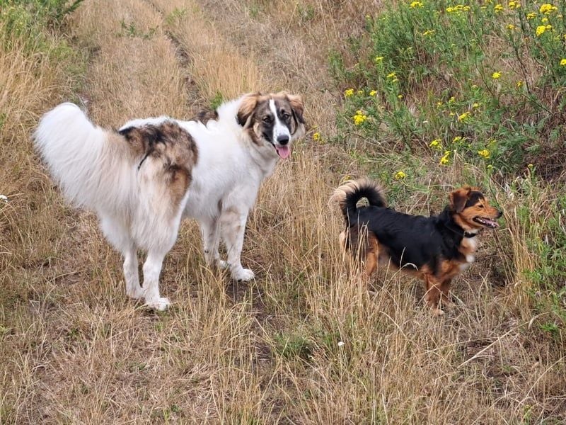 Ozora möchte überzeugen (84104 Rudelzhausen)