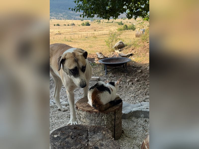Juli: Mit Sonne im Herzen