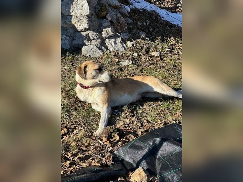 Juli: Mit Sonne im Herzen