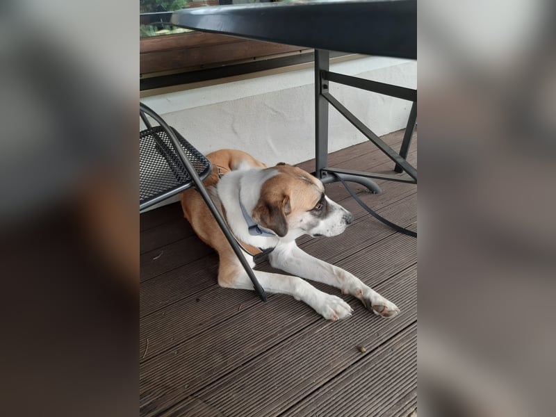 Juli: Mit Sonne im Herzen