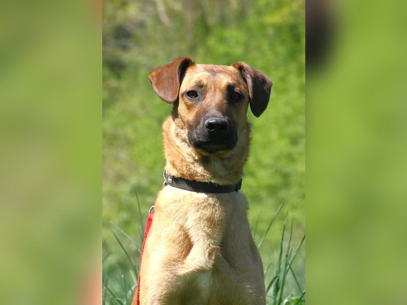 Maddox sucht Menschen, die ihm die Welt zeigen