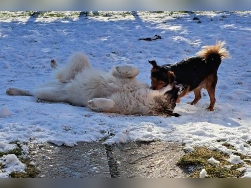 Ozora möchte überzeugen (84104 Rudelzhausen)