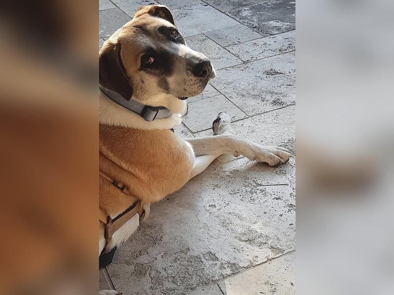 Juli: Mit Sonne im Herzen