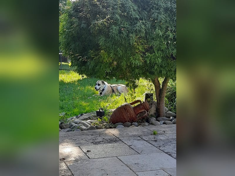 Juli: Mit Sonne im Herzen