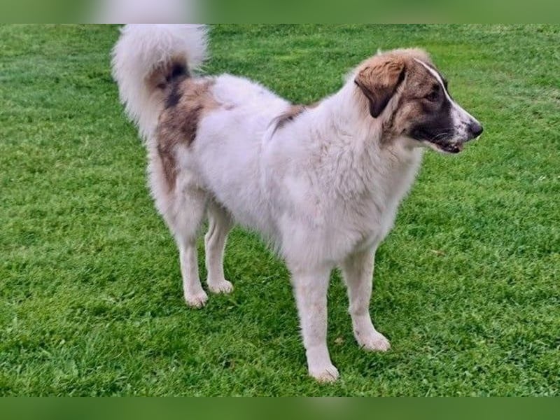 Ozora möchte überzeugen (84104 Rudelzhausen)